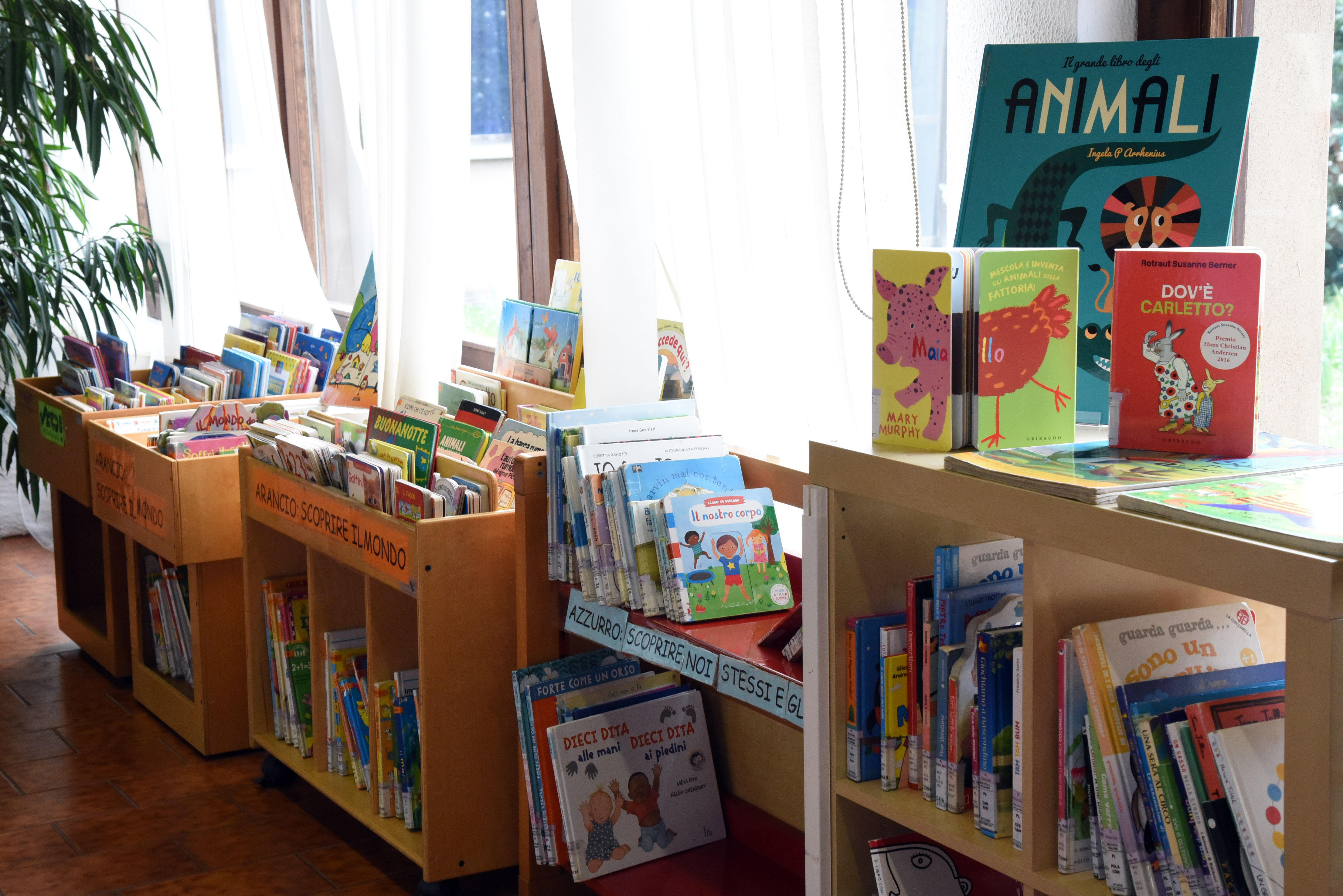 /Biblioteca%20Prealpino